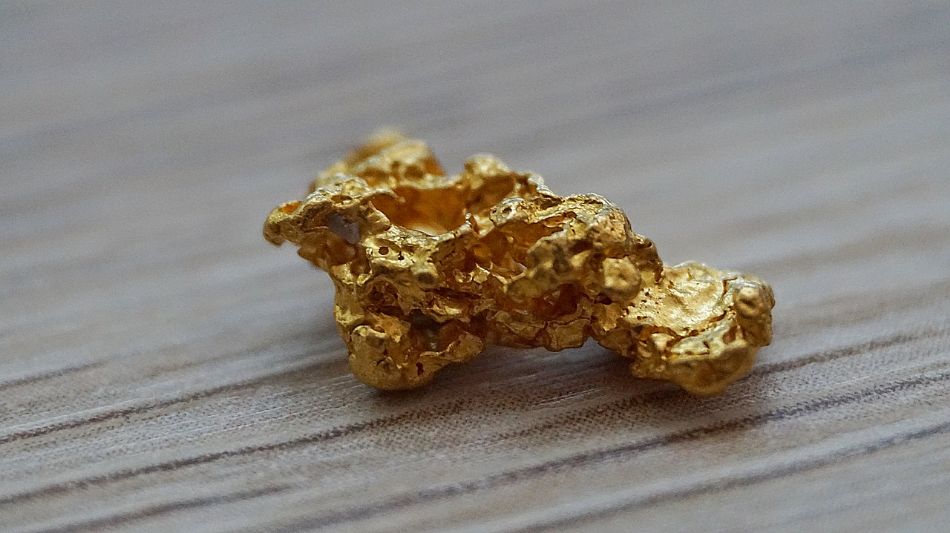 Gold mining e funghi: il tesoro nascosto della micologia